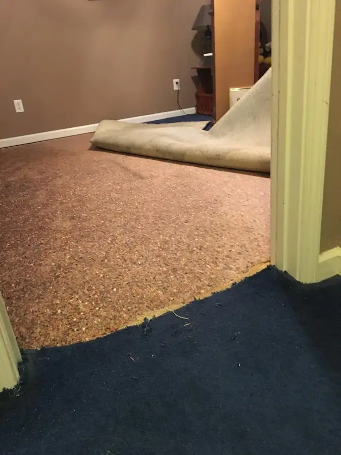 Carpet pad removal revealing water damage during Drying & Dehumidification in Fort Washington